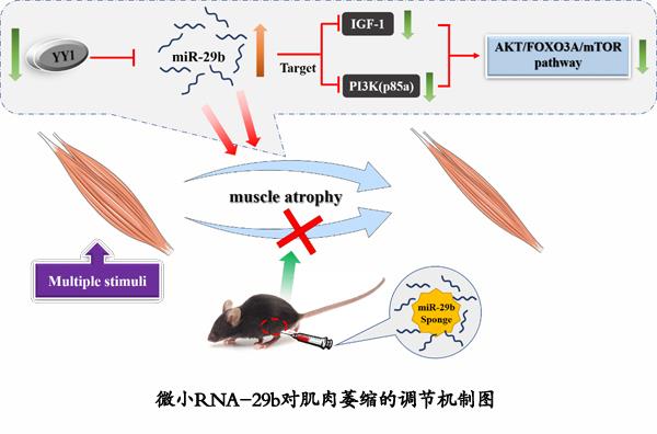 DF1680C6AC8E31FB97B83176E11_4C7A0BF5_7FD6.jpg?e=