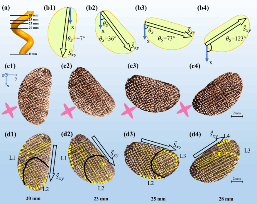 首页- Z6官网中国区人生就是博