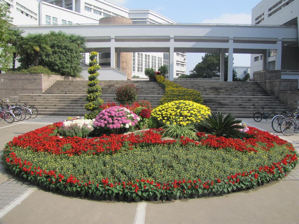 首页- Z6官网中国区人生就是博