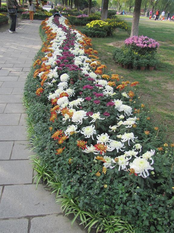 首页- Z6官网中国区人生就是博