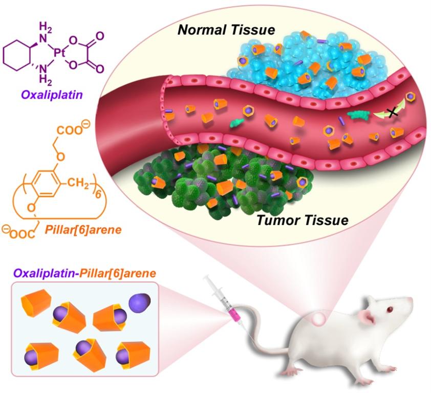 首页- Z6官网中国区人生就是博