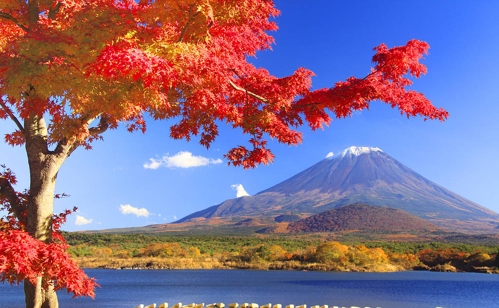 首页- Z6官网中国区人生就是博