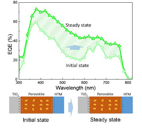 首页- Z6官网中国区人生就是博