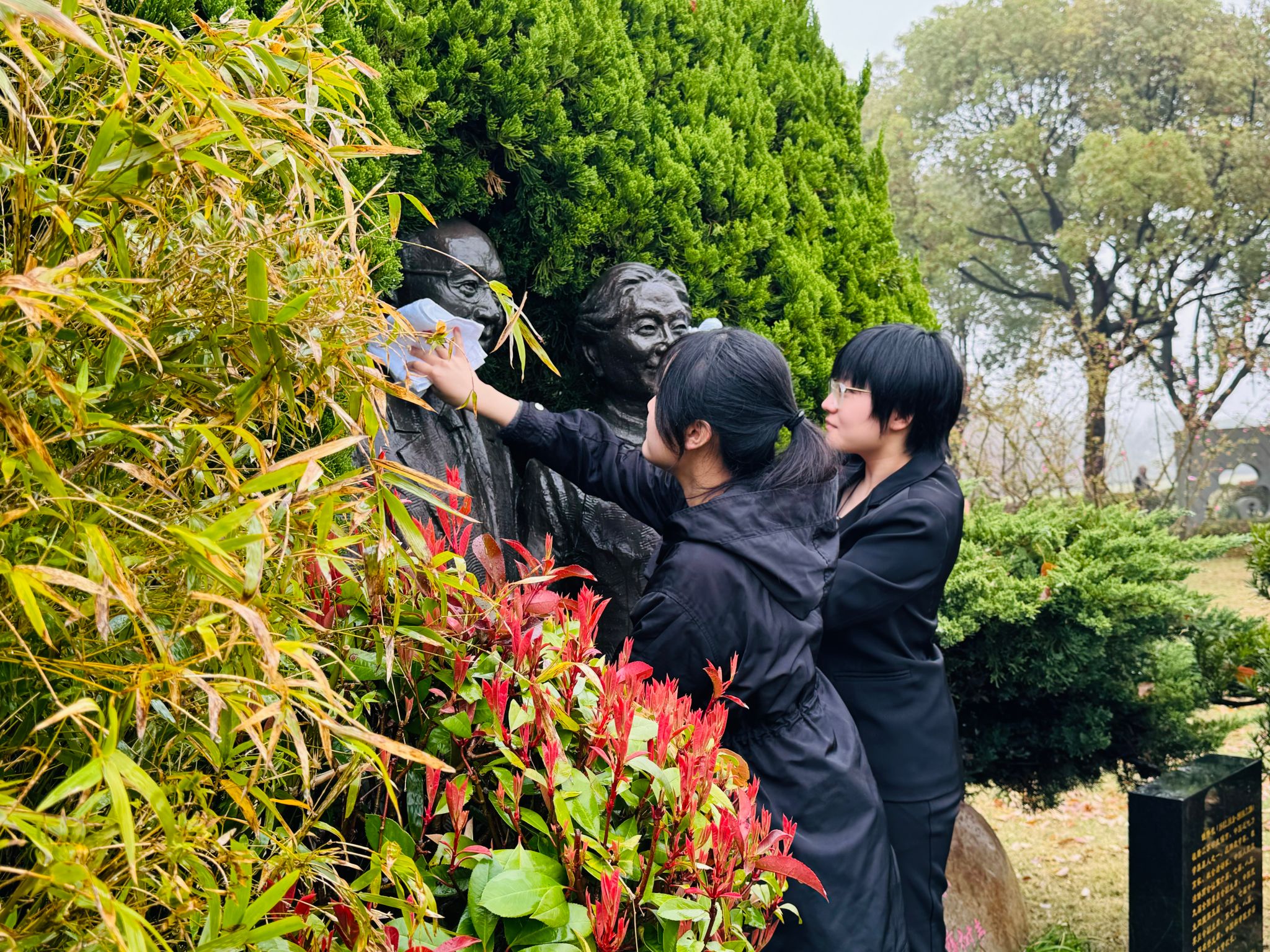 首页- Z6官网中国区人生就是博