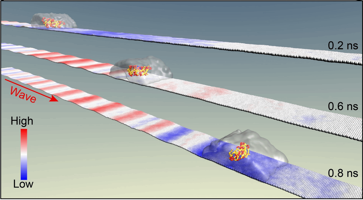 首页- Z6官网中国区人生就是博