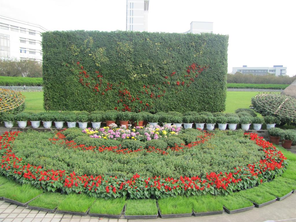 首页- Z6官网中国区人生就是博